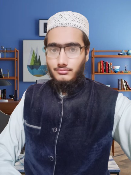 Hafiz Shahmeer - Team Leader at SEM Ads Experts