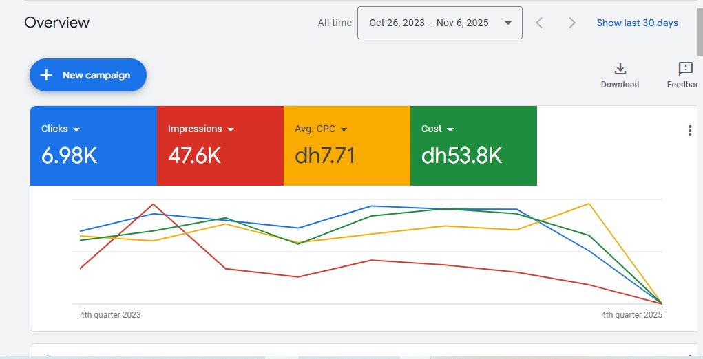 Google Ads Dashboard - High Conversion Campaign